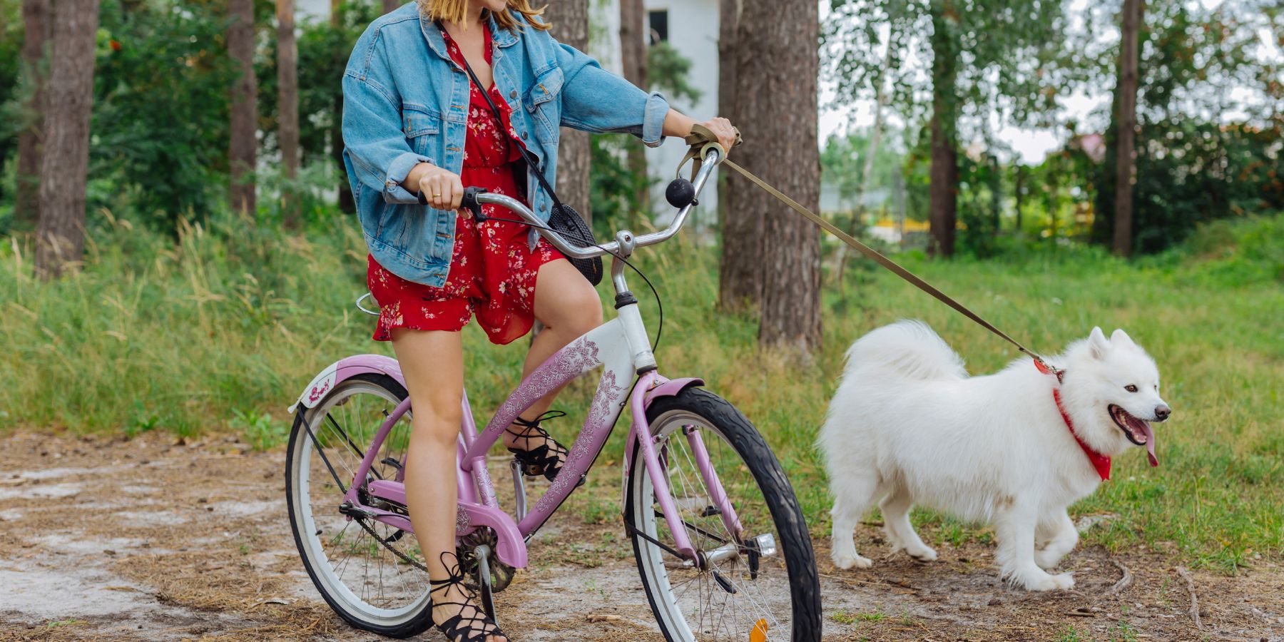 A Beginner's Guide to Exercising with Your Energetic Pup